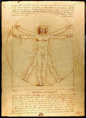 Da Vinci Vitruvian Man